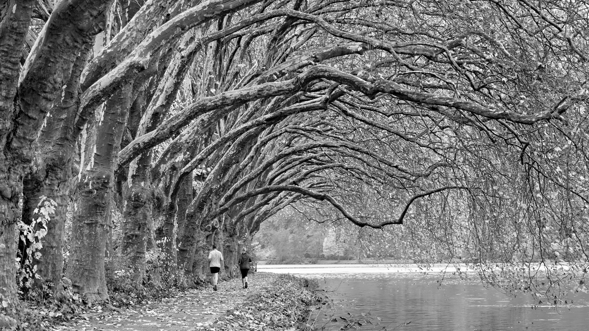 November 2024: Südufer des Baldeneysees in Essen